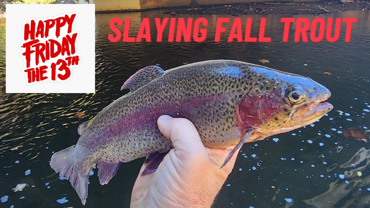 Slaying Fall Trout on Friday the 13th! (Amazing Underwater Views