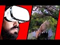 Vacas en realidad virtual | VR Experience #57