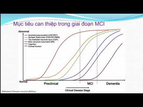 Suy giảm nhận thức nhẹ (MCI) - BS.CKII Nguyễn Thị Phương Nga