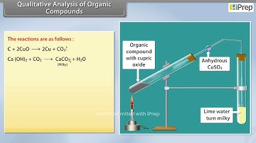 Qualitative Analysis of Organic Compounds | Organic Chemistry | Chemistry | Class 11th | iPrep