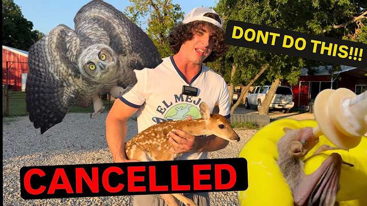 Urban Rescue Ranch EXPOSED. (It’s over) *feet reveal*