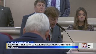 Proposed Bill Would Require SNAP Reimbursement | April 1, 2025 | News 19 at 6 p.m.