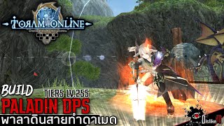 Toram Online | BUILD Paladin DPS Lv.255 TIER5 - พาลาดินดาบโล่สายทำดาเมด