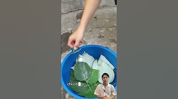 Lá gai giúp giải độc, thanh nhiệt tự nhiên #giadoc #thanhnhiet #laigai #thaoduoctunhien #duocsihung