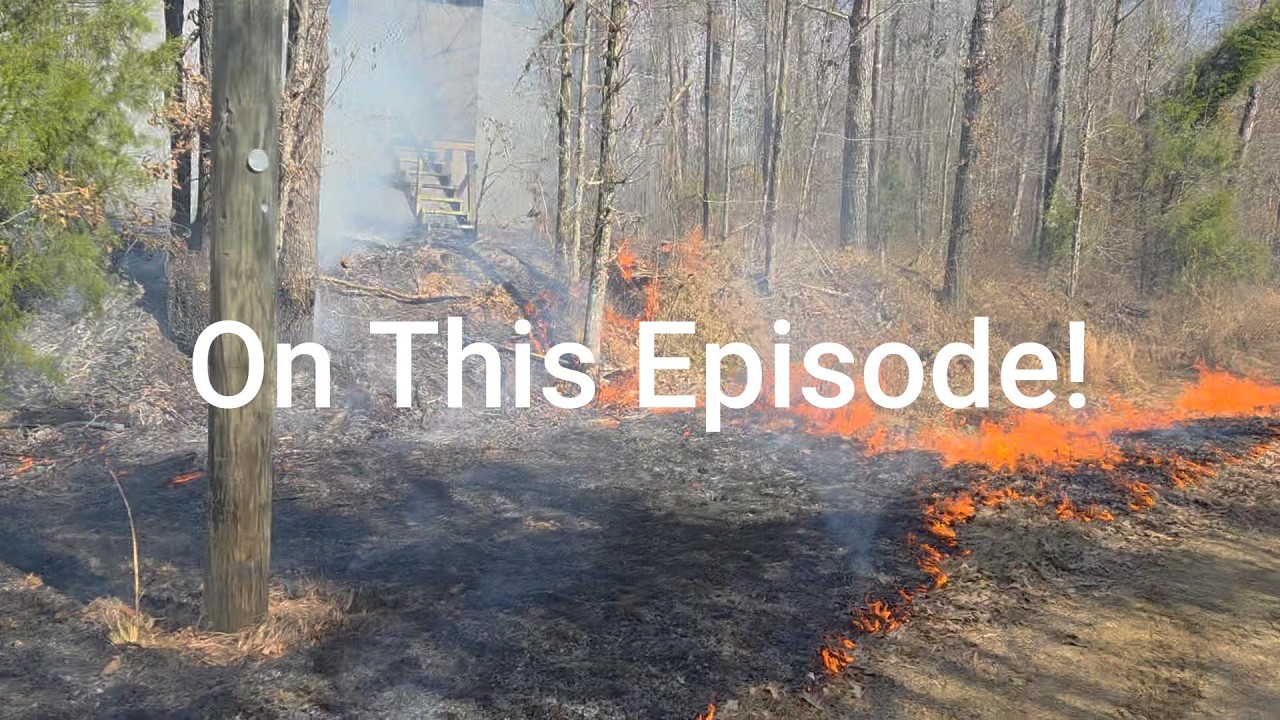 Prescribed Fire for Turkeys! #turkeyhunting #gobblegobble