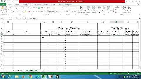 Excel to Tally-Import Ledger Master and stock with all details from Excel to tally:Excel My Life|
