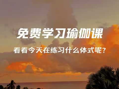 今天都在练什么体式呢？
