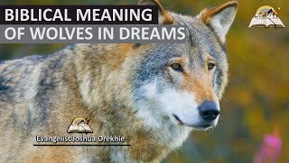 Biblical Meaning Of Wolves In Dream - Spiritual Meaning Of Wolf