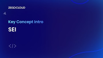 Key Concept Intro: What is SEI (Supplemental Enhancement Information) ?