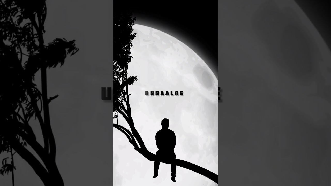 Po nee po 🖤 song lyrics whatsapp status tamil