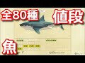 【あつ森】魚値段 全80種の売値【あつまれどうぶつの森】