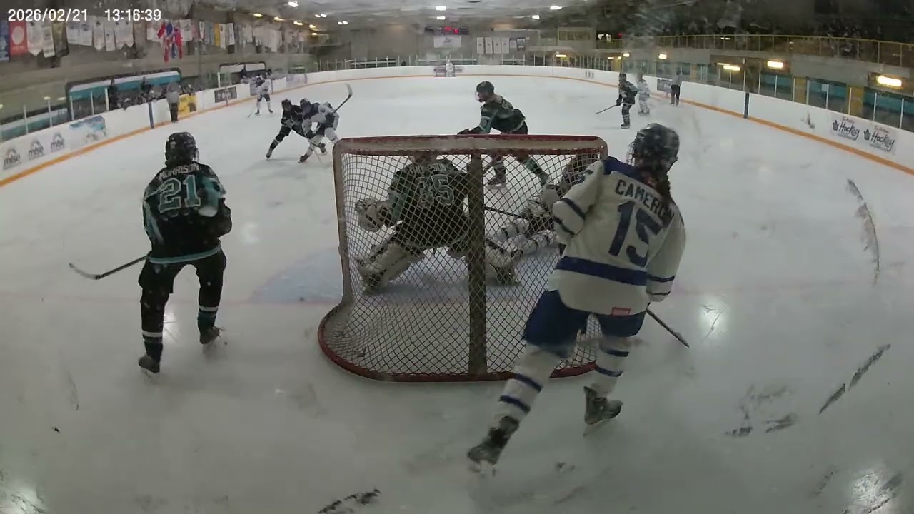 Sharks (RT) vs Etobicoke Dolphins 415 21Feb26 P1