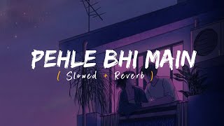 Pehle Bhi Main (Slowed   Reverb) | Vishal Mishra | Animal