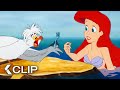 THE LITTLE MERMAID Movie Clip - “That