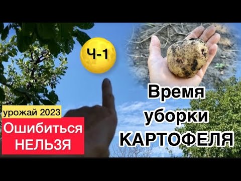 Ч -1 ПО