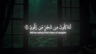 listen to enshad and be calm😇