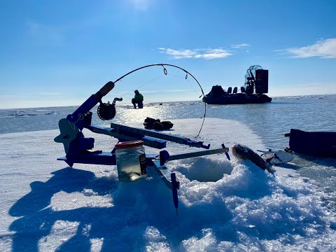 ОПЯТЬ ОНА ОБЛОВИЛА МЕНЯ рыбалка зимой на судака
