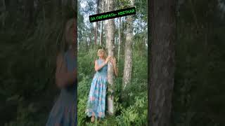 НАЙТИ ПАПАРАТЬ- КВЕТКУ #оптимизм #лето #позитив
