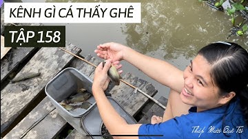 Tập 158 - Câu Cá Rô Đồng Ven Mương Ruộng Lúa Cá Ăn Thấy Mê