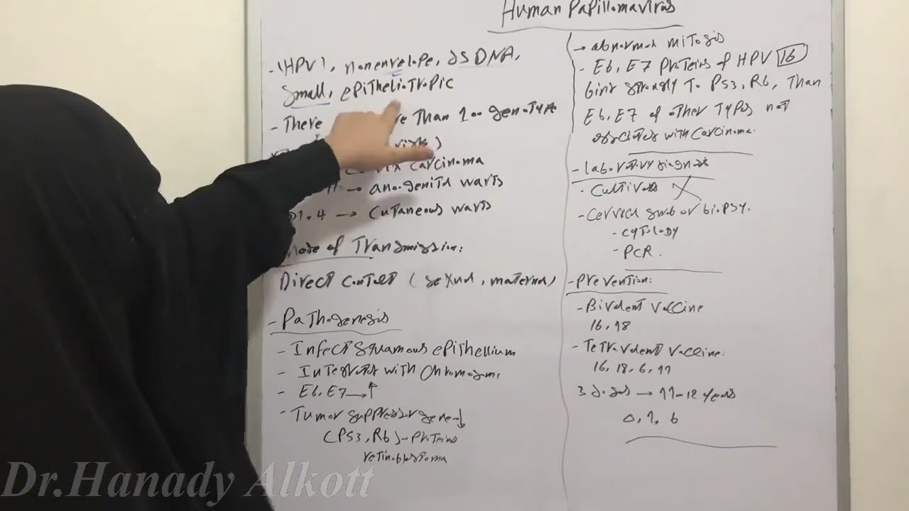😱☠️💀 Human Papillomavirus 👀👁👹
