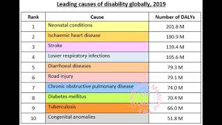 Causes of Handicap or Disability; wide range of biological, environmental, and social factors