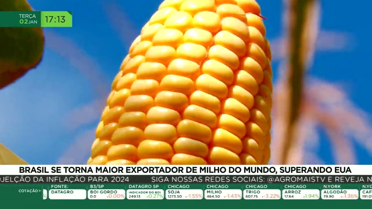 Brasil se torna maior exportador de milho do mundo, superando EUA