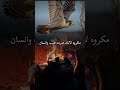 لاصارلك واجدمن اناس عدوان فاعرف بانك كاوي قلوبهم كي شعر شيلات اغاني شعر وقصائد  قصايد 4