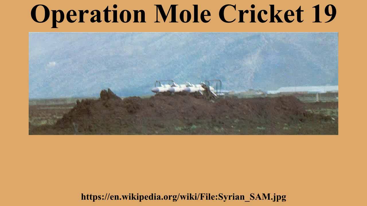 Operation Mole Cricket 19