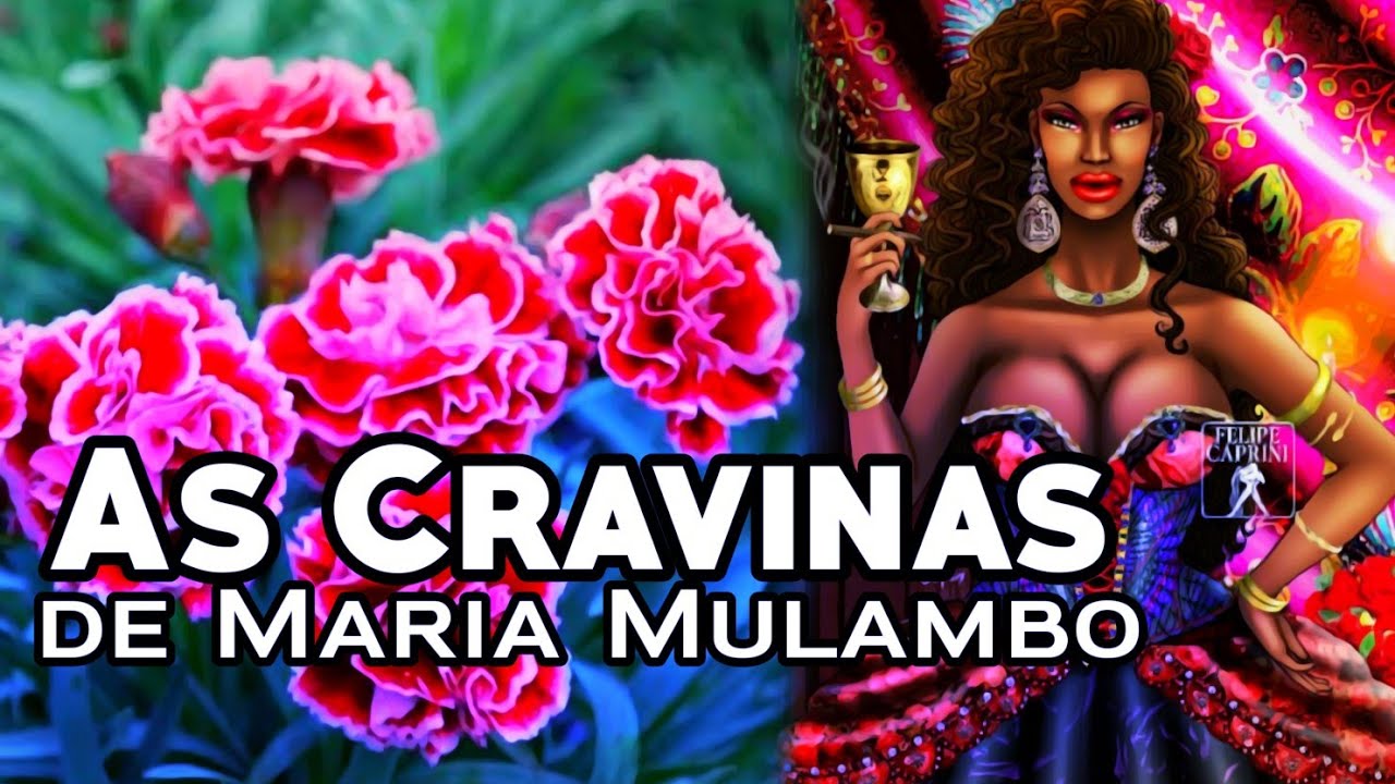 As Cravinas de Maria Mulambo
