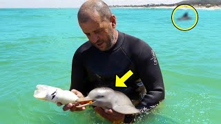 Man Saves Baby Dolphin, But Then This Happens Behind Him!