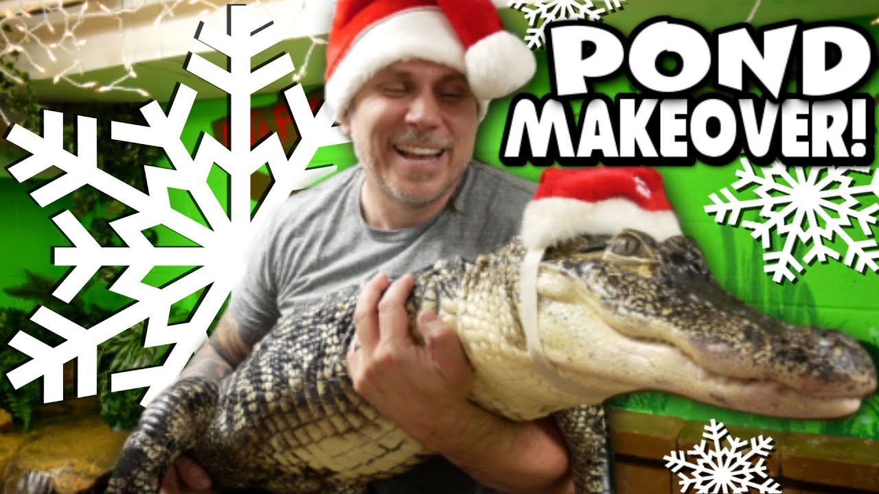 vlogs in spanish ALLIGATOR (RJ) CHRISTMAS POND MAKEOVER!! | BRIAN BARCZYK
