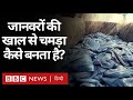 Leather Industry: Pakistan की Tannery, जहां जानवर की खाल से चमड़ा बन रहा है (BBC HINDI)