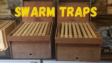 Beekeeping UK #8 (Spring Update & Swarm Traps)