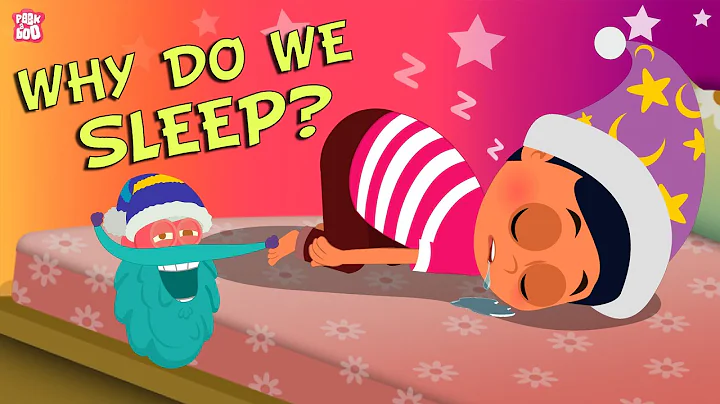 Why Do We Sleep? The Dr. Binocs Show | Best Learning Videos For Kids | Peekaboo Kidz - DayDayNews