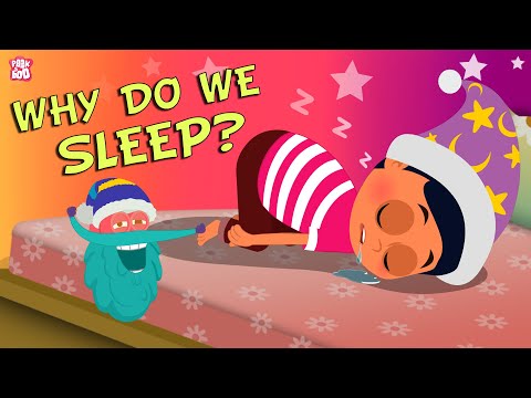 Why Do We Sleep? The Dr. Binocs Show | Best Learning Videos For Kids | Peekaboo Kidz