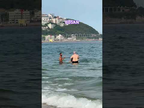 Busan today
