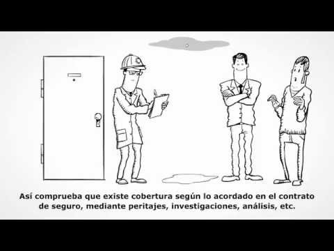 ¿Cuáles Son Los Deberes De Un Suscriptor De Seguros?