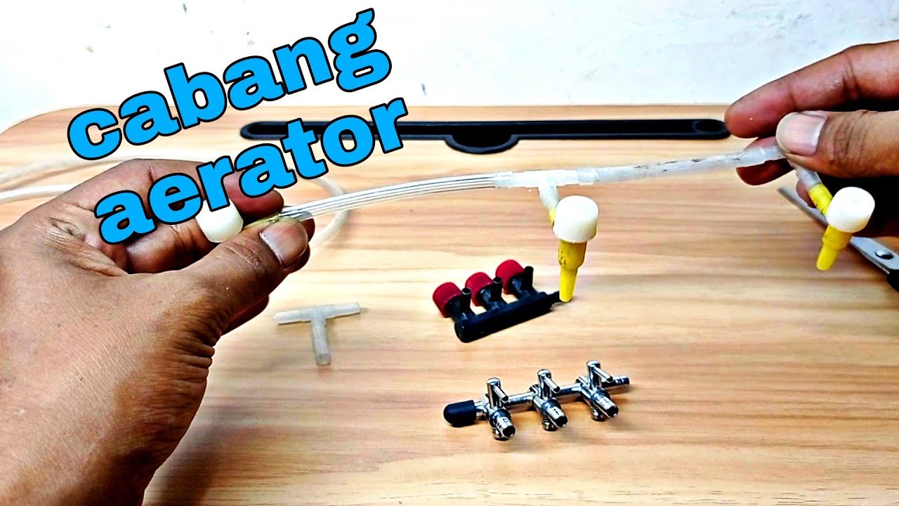 tips cara mencabang aerator aquatium