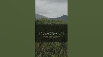 تلاوة من سورة يونس