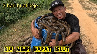 Tahan Tukir Belut Dan Jual #gengdunia 