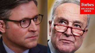 'We Will Not Be Bullied By A Few Hard-Right Radicals': Schumer Slams House GOP As Shutdown Looms