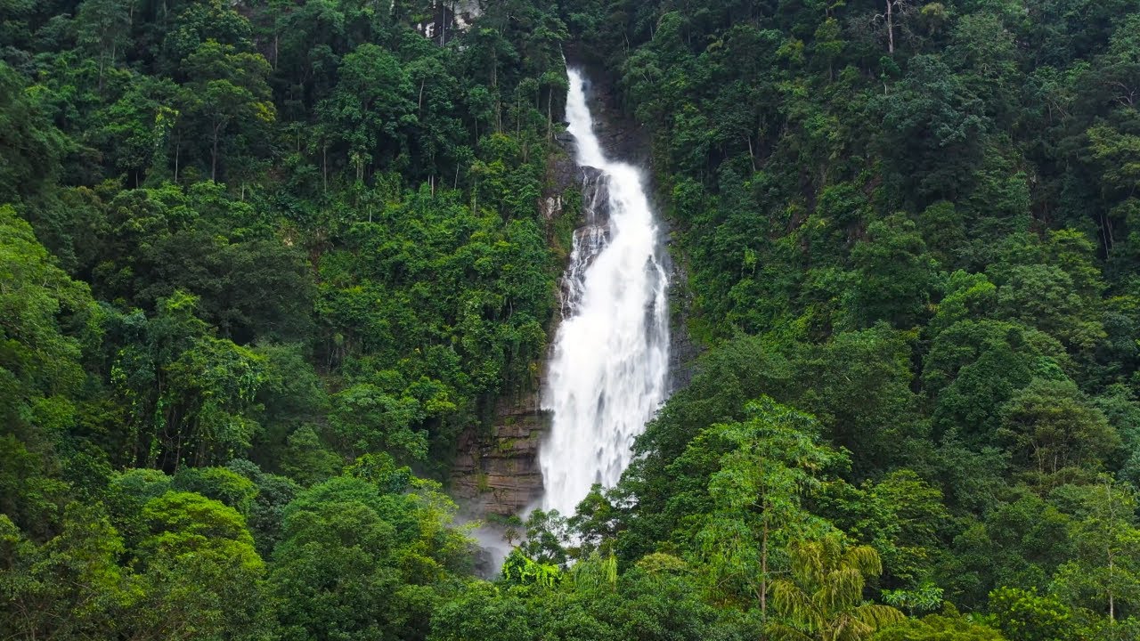 Power in Persistence | 4K Cinematic Strength