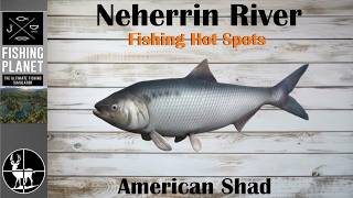 How To Catch American Shad | Neherrin River | Fishing Planet Hot Spots