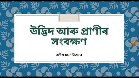 উদ্ভিদ আৰু প্ৰাণীৰ সংৰক্ষণ (অভয়াৰণ্য, ৰাষ্ট্ৰীয় উদ্যান, জীৱমণ্ডল সংৰক্ষিত অঞ্চল) বিজ্ঞান