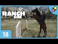 Ranch simulator 18 on achte enfin des chevaux  fr