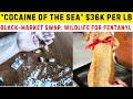 China's Global Crime Wave EXPOSED! Fentanyl for Fish, $6.7B Bitcoin Laundered &amp; Uranium Plots