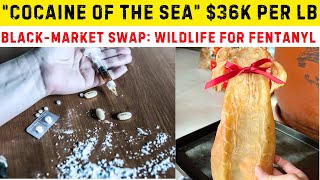 China's Global Crime Wave EXPOSED! Fentanyl for Fish, $6.7B Bitcoin Laundered &amp; Uranium Plots