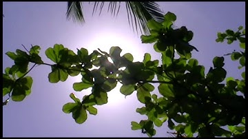 Video Poetry - Are you misunderstood? - Deliberate Strangers