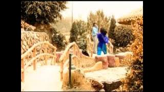 Tujhse Bichhad Kar [Full Song] Zakhmi Dil Vol.2