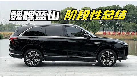 【集车】魏牌蓝山阶段性总结 - 天天要闻